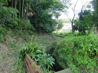 岡津古久城（岡津古久城山）の登城記録(dougenさん)