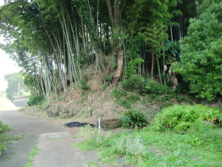 岡津古久城（岡津古久城山）の登城記録(dougenさん)