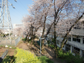 小田原古城（小峯城・小早川城）の登城記録(dougenさん)