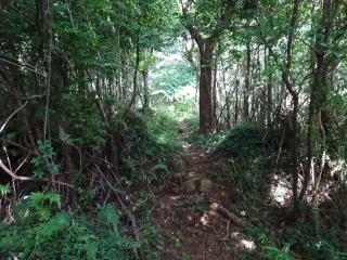 板橋富士山陣場の登城記録(dougenさん)