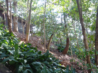 石川氏館（石川経長居館）の登城記録(dougenさん)