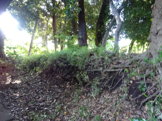 桃井播磨守館（桃井氏館）の登城記録(dougenさん)