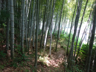 神金城の登城記録(dougenさん)