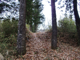 奥牧野城山（奥牧野城）の登城記録(dougenさん)