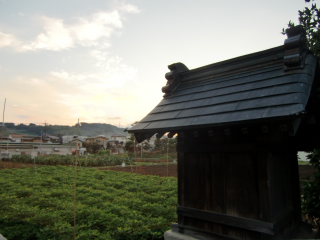 和田屋敷の登城記録(dougenさん)