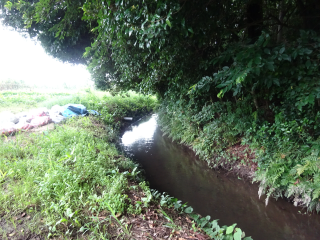 粟原城（鷲宮城）の登城記録(dougenさん)