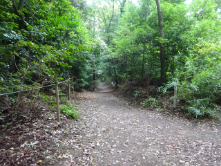 粟原城（鷲宮城）の登城記録(dougenさん)
