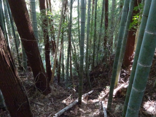 田間城の登城記録(dougenさん)
