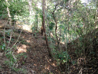 東金城の登城記録(dougenさん)