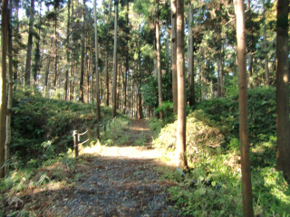 坂田城の登城記録(dougenさん)