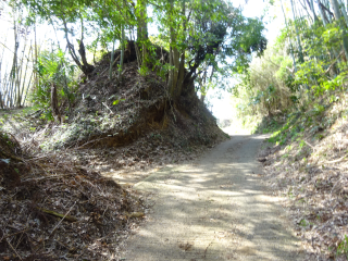 飯櫃城の登城記録(dougenさん)