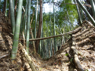 山中城の登城記録(dougenさん)