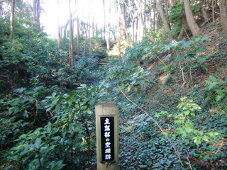 成東城の登城記録(dougenさん)