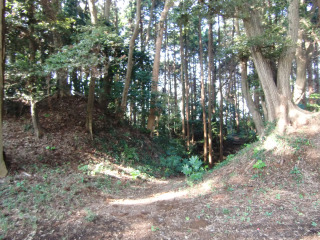 成東城の登城記録(dougenさん)