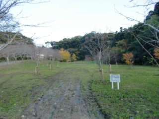 一宮城の登城記録(dougenさん)