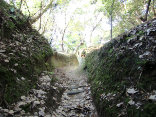 本納城の登城記録(dougenさん)