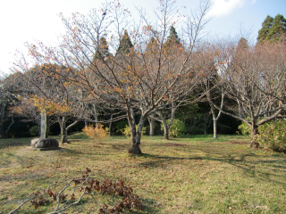 本納城の登城記録(dougenさん)