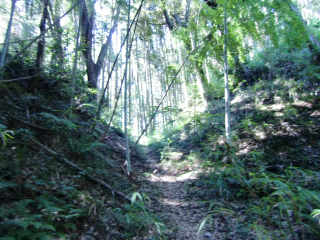 大椎城の登城記録(dougenさん)