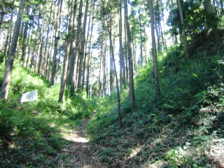 大椎城の登城記録(dougenさん)