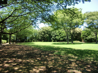 鷺沼城の登城記録(dougenさん)