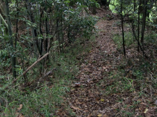 米本城の登城記録(dougenさん)