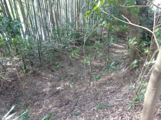 長沼城の登城記録(dougenさん)