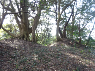 長沼城の登城記録(dougenさん)