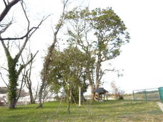 寺台城の登城記録(dougenさん)