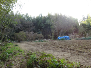 寺台城の登城記録(dougenさん)