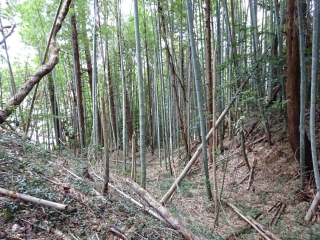 山崎城の登城記録(dougenさん)