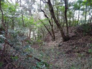 森山城の登城記録(dougenさん)