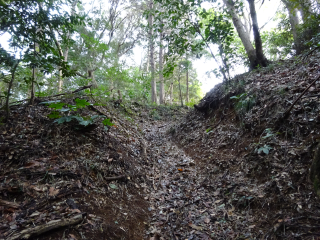 森山城の登城記録(dougenさん)