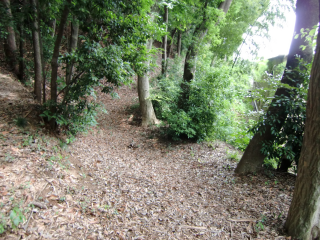 前ヶ崎城の登城記録(dougenさん)