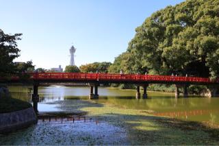 茶臼山陣城（大塚城）の登城記録(こにーさん)