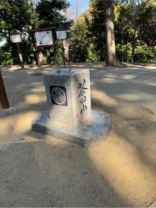 茶臼山陣城（大塚城）の登城記録(Wattさん)