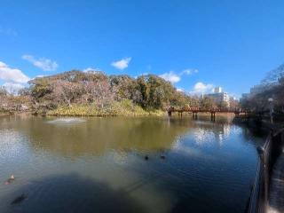 茶臼山陣城（大塚城）の登城記録(千　百万さん)