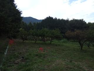 松田城の登城記録(けいいちさん)