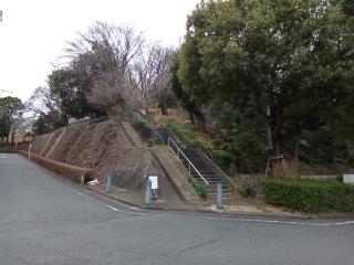 大丸城の登城記録(けいいちさん)