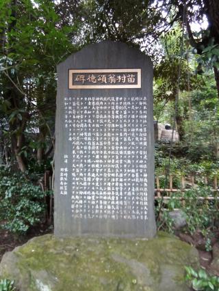 今井城の登城記録(けいいちさん)