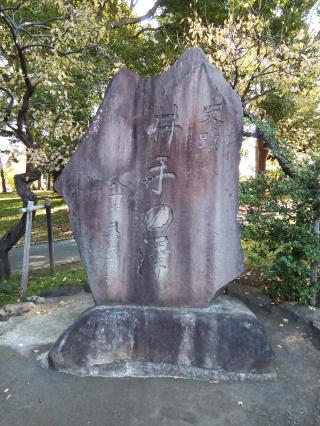 殿ノ城（井出沢城）の登城記録(けいいちさん)