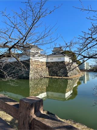 岸和田城の登城記録(かけはるママさん)