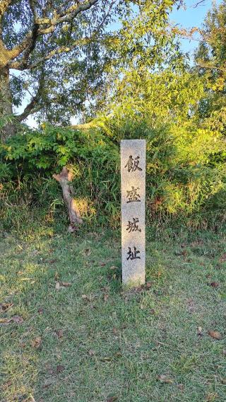 飯盛山城の登城記録(くちやさん)