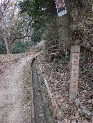 飯盛城（飯盛山城）の登城記録(千　百万さん)