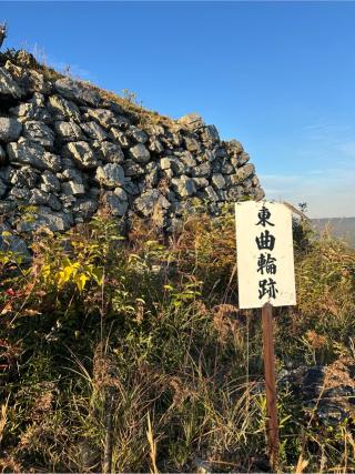 黒井城の登城記録(かのんさん)