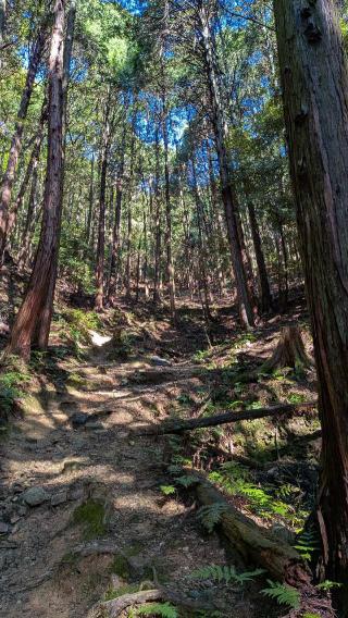 黒井城の登城記録(ニャン川さん)
