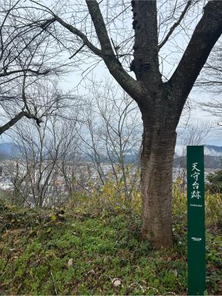 豊岡城の登城記録(かのんさん)