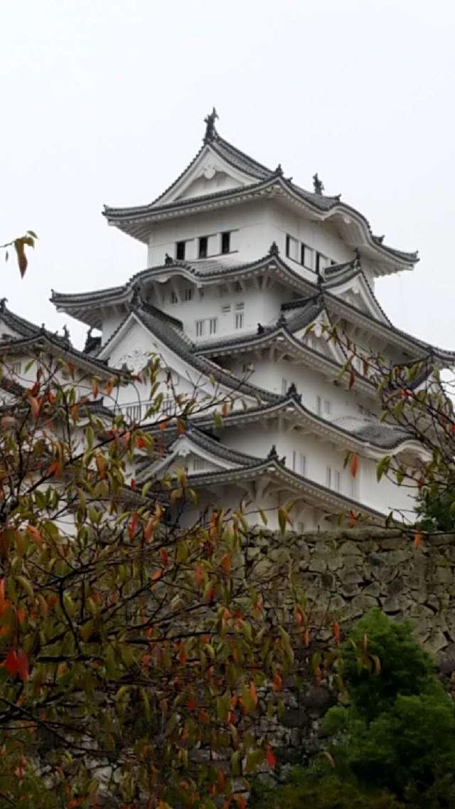 兵庫県姫路市本町６８ 姫路城（白鷺城）の写真2