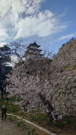 明石城の登城記録(熱気バサラさん)