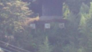 淡河城の登城記録(トシさん)