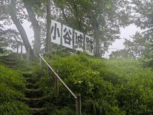 小谷城の写真1
